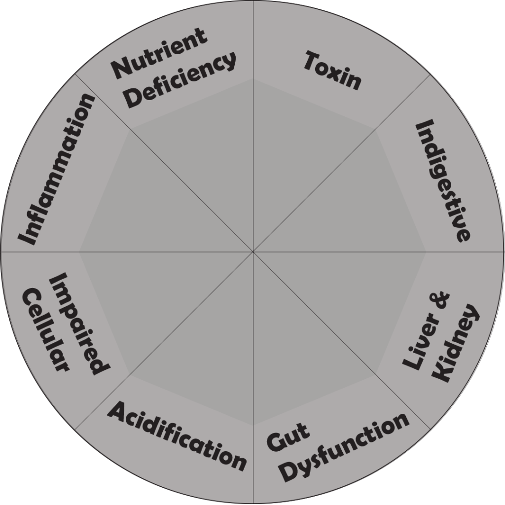 Body Detox Juice Cleanse Singapore Fruit Juice Detox Cleanses ION+