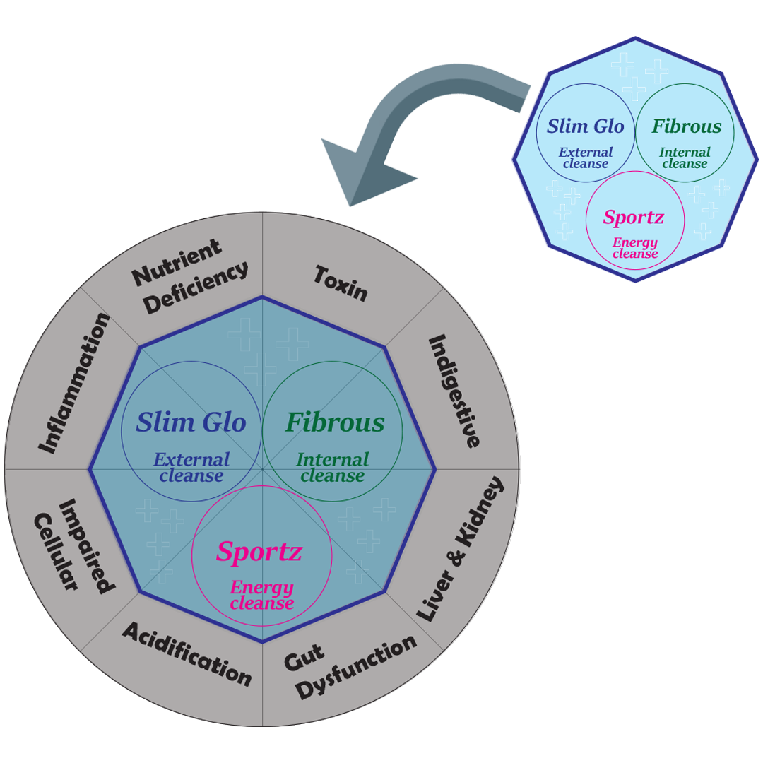 Body Detox Juice Cleanse Singapore Fruit Juice Detox Cleanses ION+